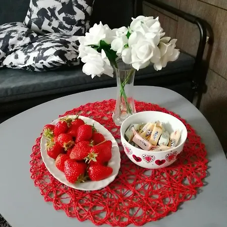 Apartment Red Čačak